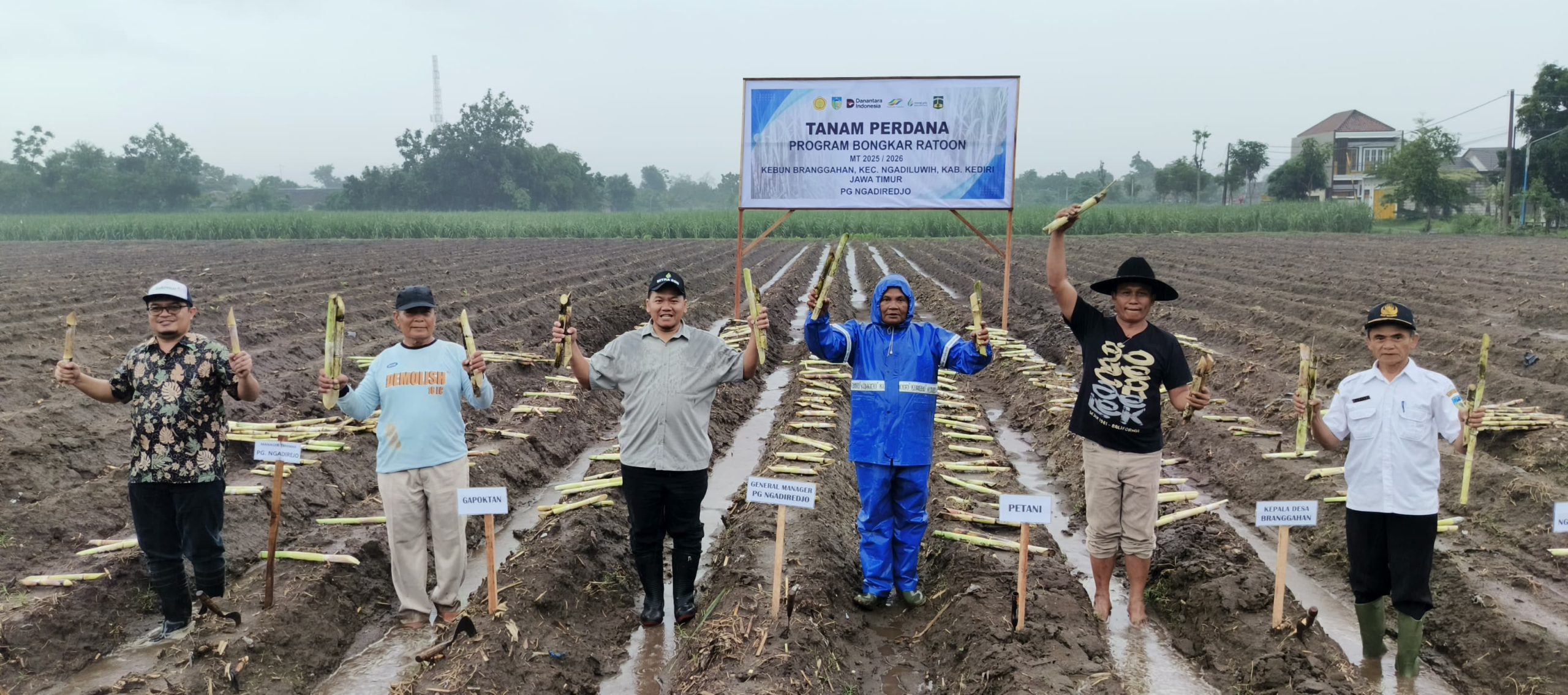 PG Ngadiredjo Sukseskan Tanam Perdana dan Bongkar Ratoon Petani Tebu Binaan