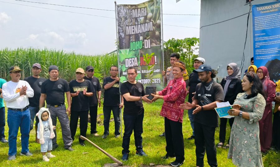 Pemdes Joho Galakkan Tanam Pohon Joho, Pulihkan Ikon Desa  Yang Sempat Hilang