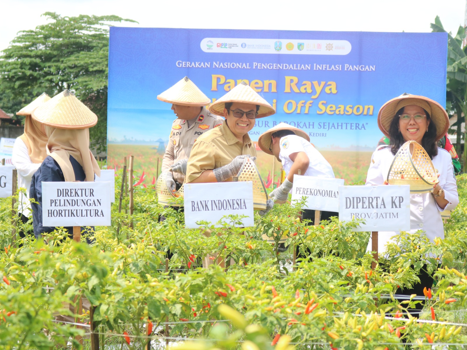 Kendalikan Inflasi Pangan, Bank Indonesia Kediri Menggelar Panen Raya Cabai Diluar Musim Tanam Ramah Lingkungan