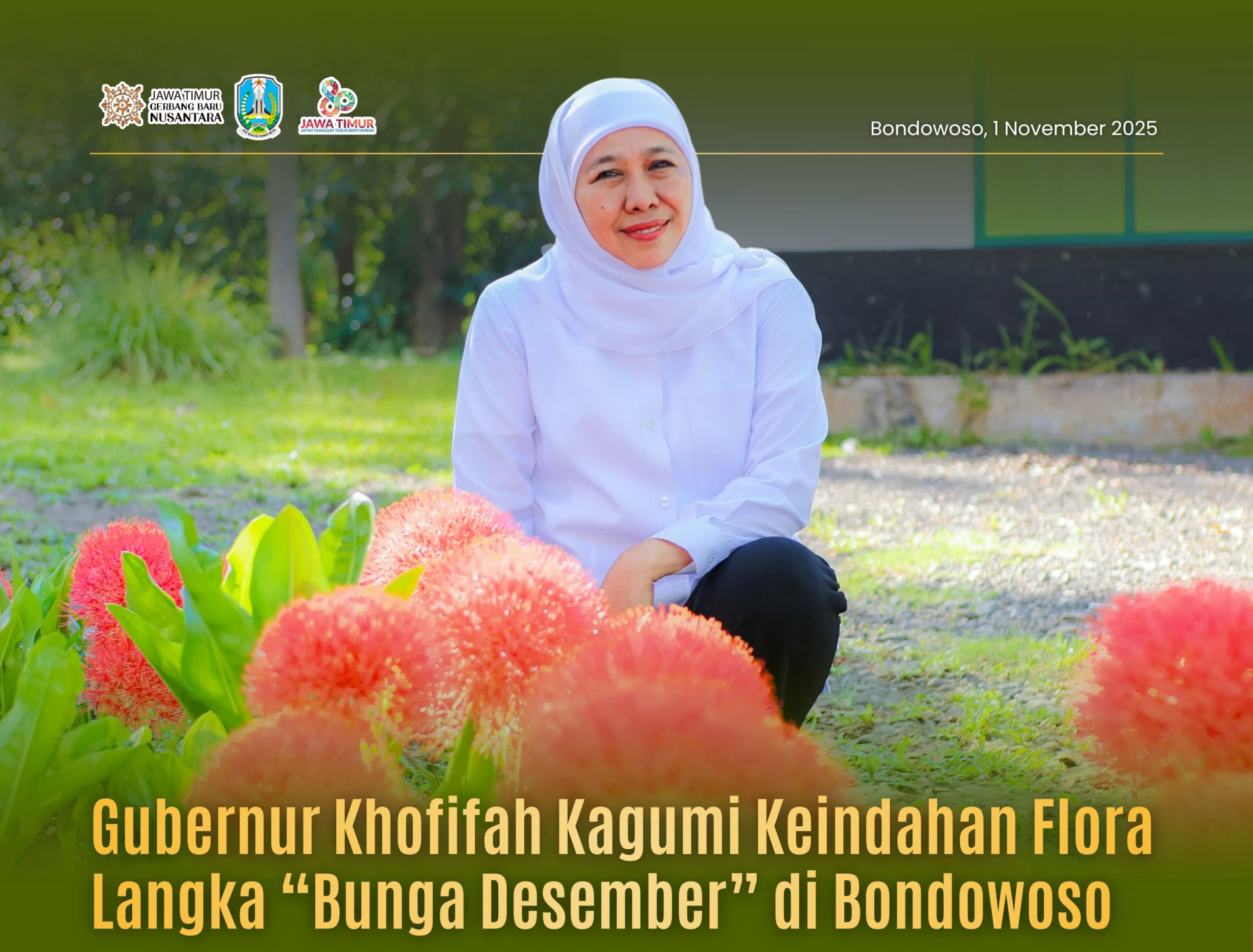 Gubernur Khofifah Kagumi Pesona Bunga Desember, Flora Langka Kebanggaan Bondowoso