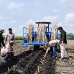 MKSO Kebun Dhoho Terapkan Program Mekanisasi Pada Tanam Perdana 2026