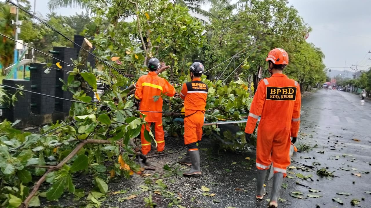Hujan Lebat dan Angin Kencang di Kota Kediri Akibatkan Pohon Tumbang