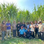 Kunjungi Kebun Tebu, Manajemen PG Meritjan Perkuat Sinergi Dengan Petani Untuk Dongkrak Produktivitas