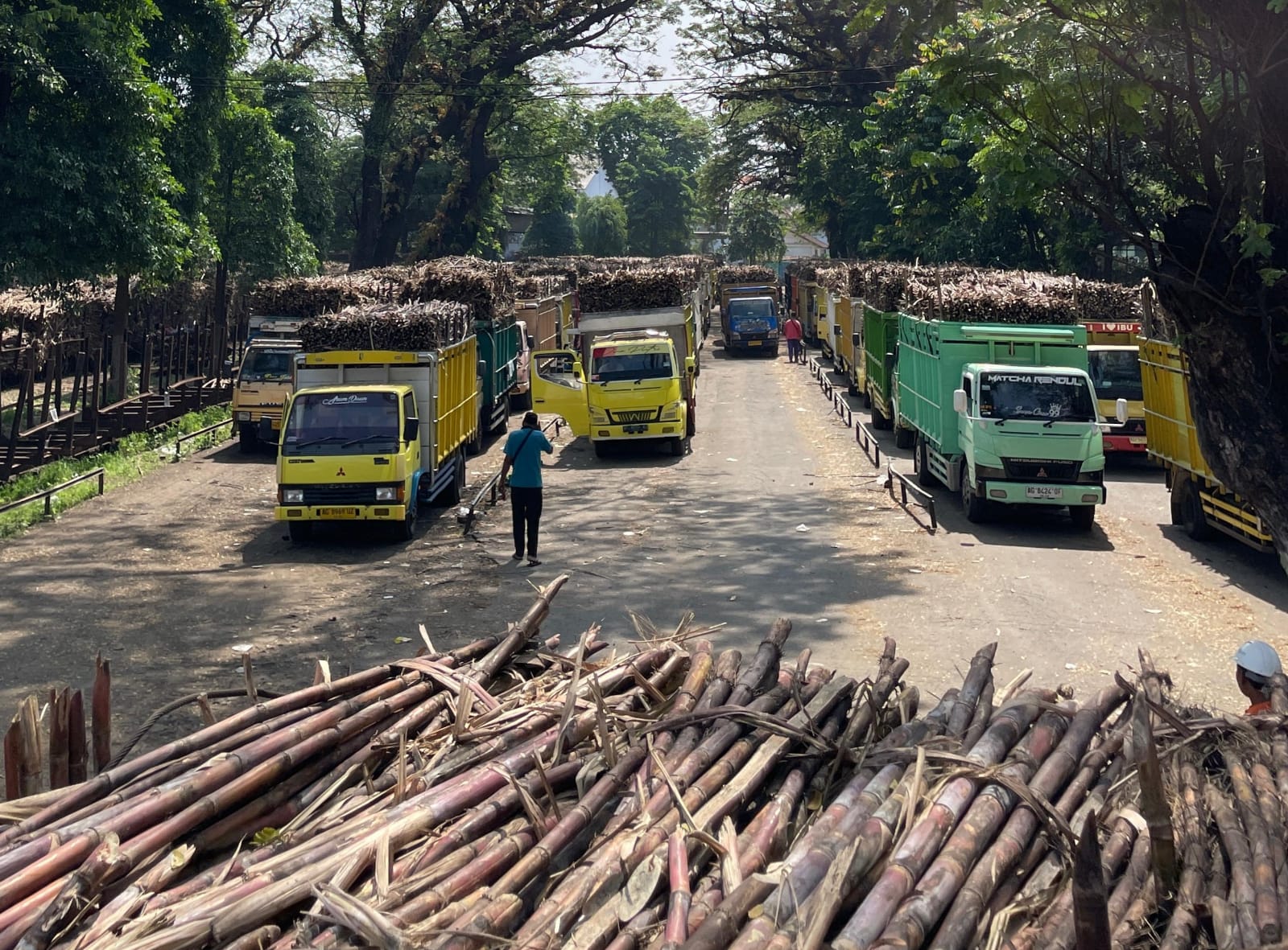 Hari Giling ke 38, PG Ngadiredjo Berhasil Tembus Giling Dua Juta Kuintal Tebu