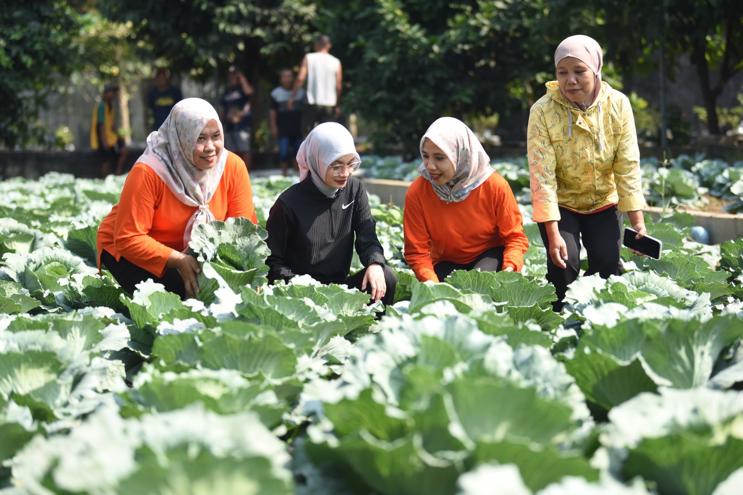 Mbak Wali Panen Sayur di Rumah Potong Hewan, Dorong Gerakan Ketahanan Pangan dan Gizi