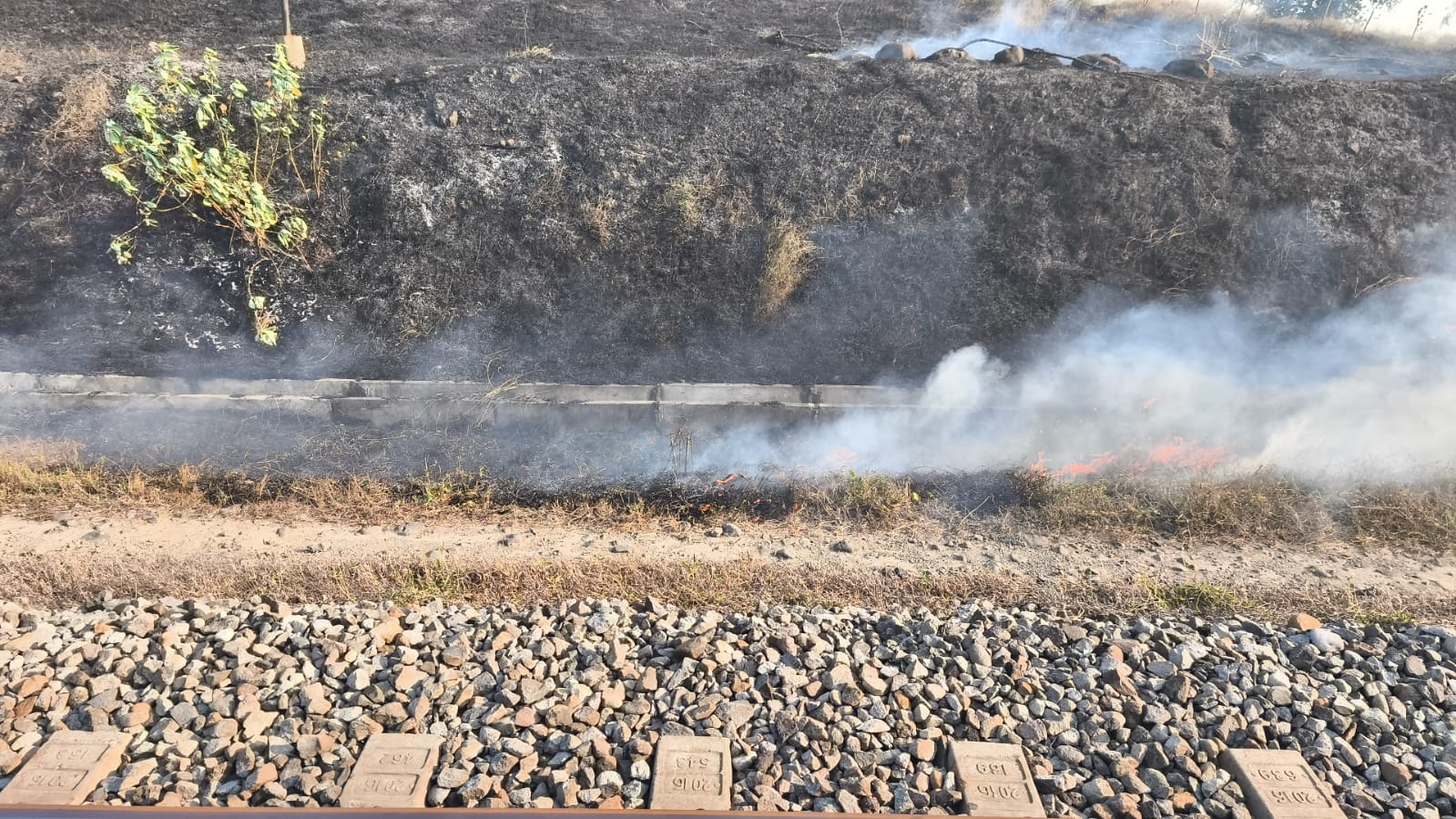 Musim Kemarau Tiba, KAI Daop 7 Madiun Himbau Masyarakat Tidak Bakar Rumput di Dekat Jalur KA