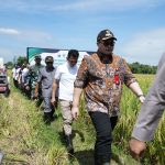 Jaga Ketahanan Pangan Kabupaten Kediri, Tahun 2026 Bakal Dibangun 380 Titik Submersibel