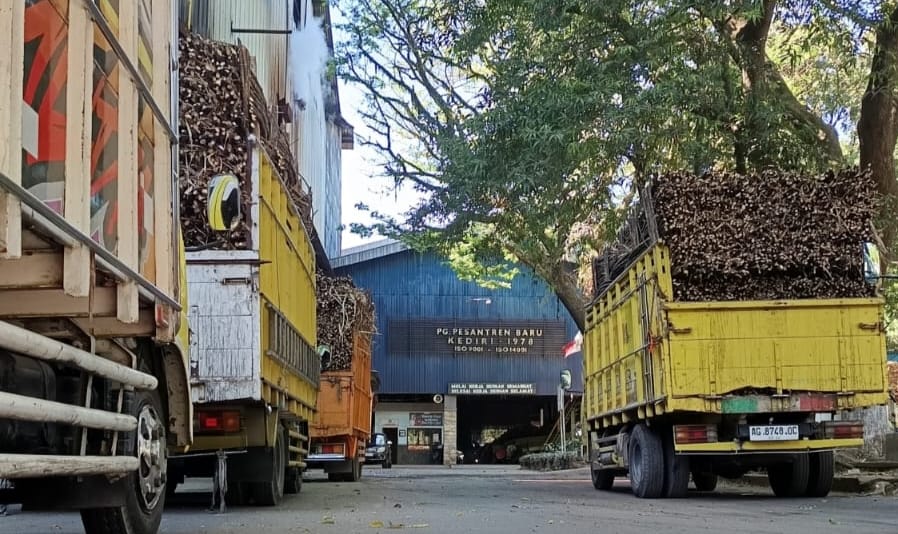 Pada Hari Giling ke-38, Pabrik Gula Pesantren Baru Telah Berhasil Menggiling Tebu Dua Juta Kuintal