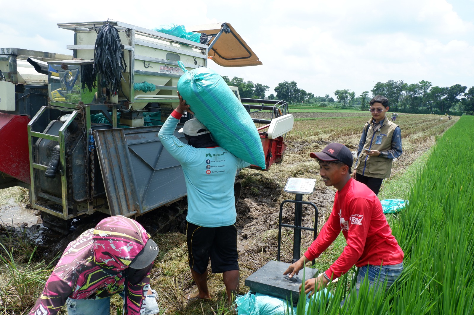 BULOG Kediri Berhasil Mencapai Target 100 Persen Penyerapan Gabah Petani, Setara Dengan 73.489 Ton Beras