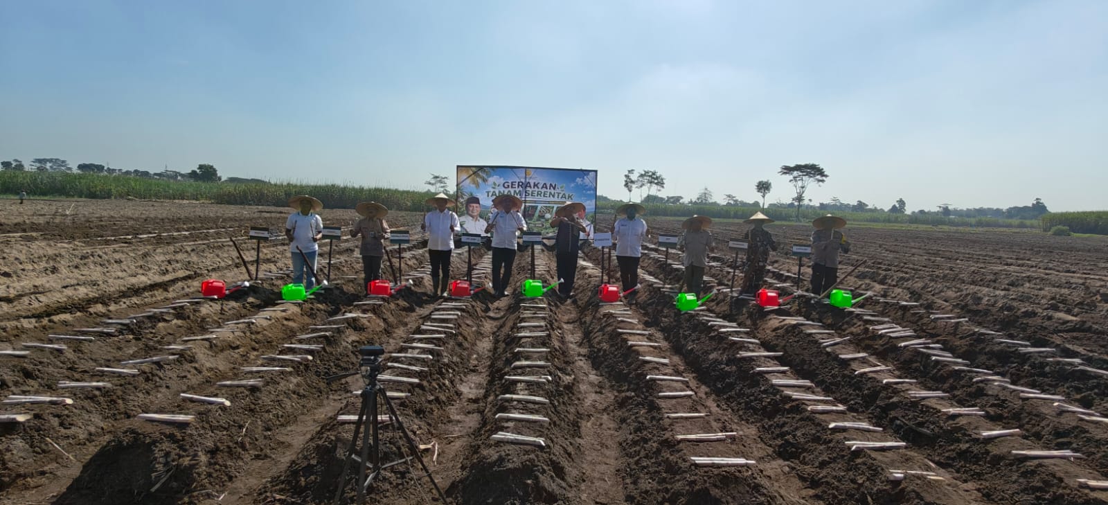 Pabrik Gula Pesantren Baru Salurkan Bantuan Bibit Gratis Untuk Tingkatkan Produktifitas Petani
