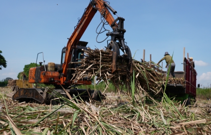 DPN APTRI Usulkan Harga Acuan Pembelian Gula Dinaikan Dari Rp 14.500 Menjadi Rp 16.875 per kg, Siapkan Aksi di Istana Negara