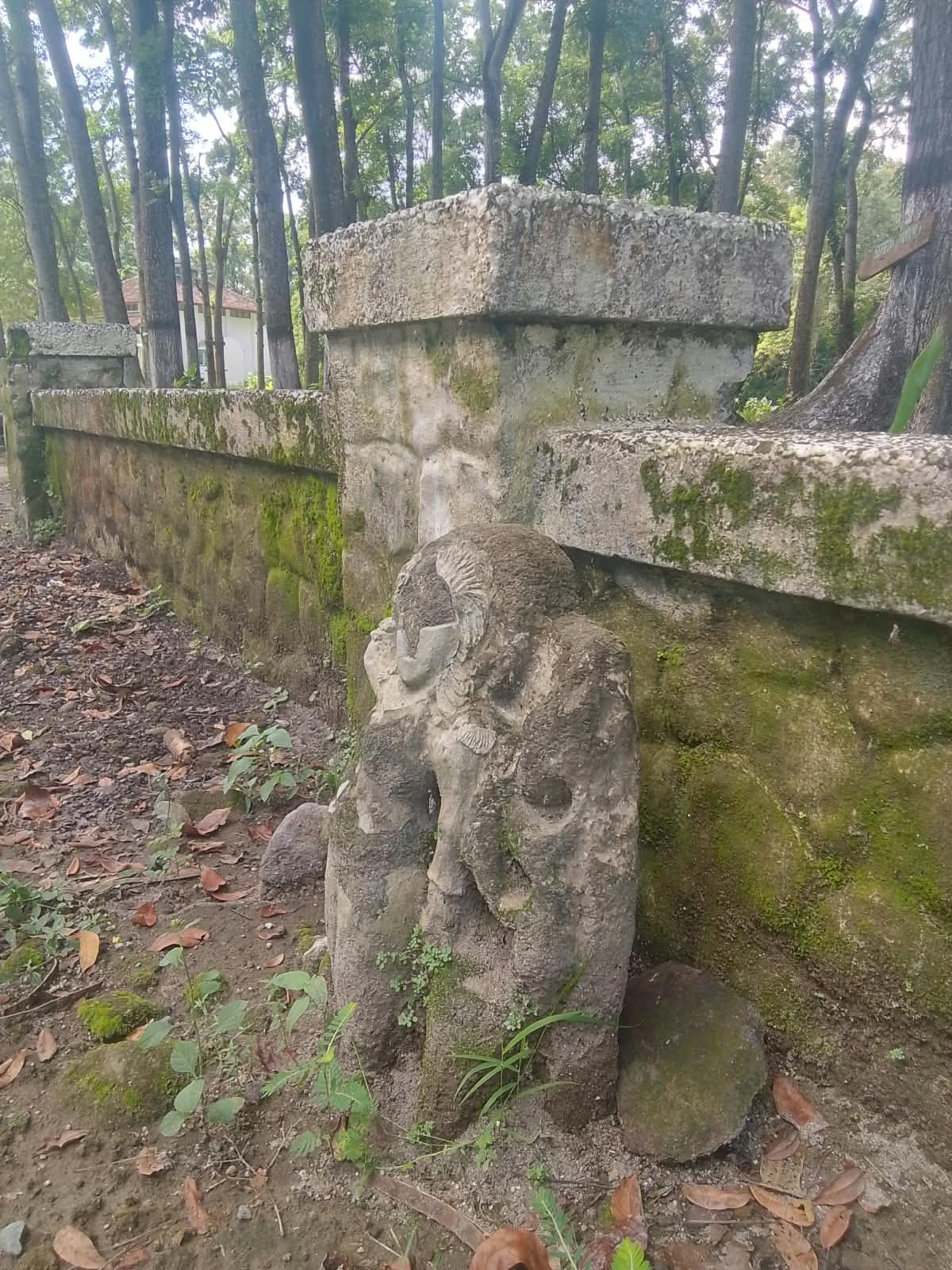 Patung Durga di Kawasan Perkebunan Jengkol Plosoklaten Dilaporkan Hilang