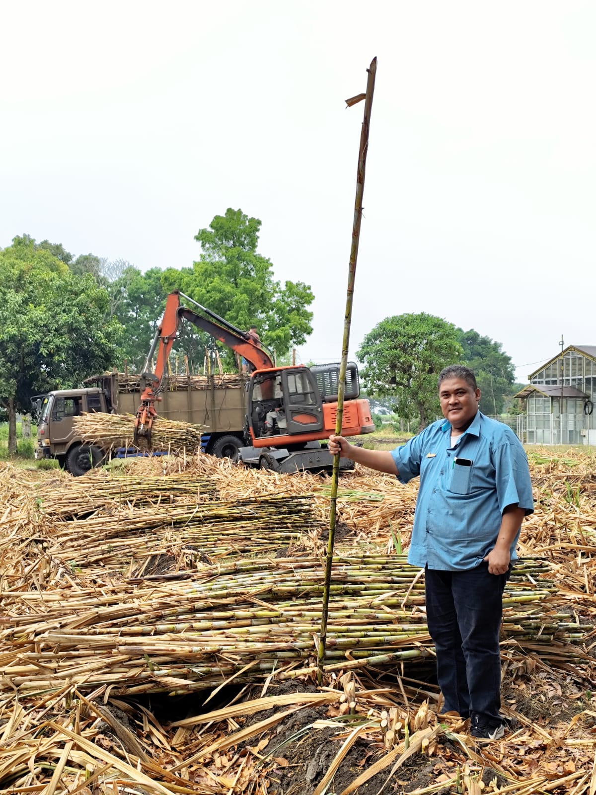Manajemen Kerja Sama Operasional Kebun Dhoho Kediri Telah Menuntaskan Musim Panen Tebu 2026, Selama Musim Giling Pasok Tebu 5 Pabrik Gula Sebanyak 223.963 Ton